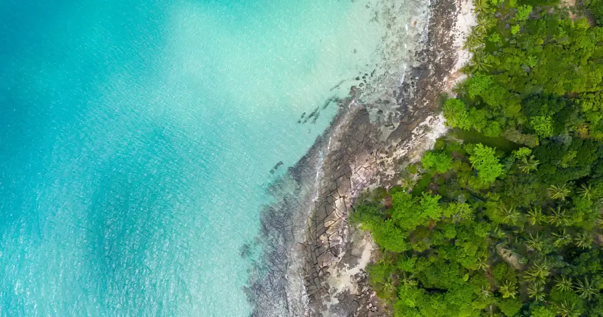 Aerial view of a coast: a line of white surf between the turquoise lagoon and the dense vegetation of the shore