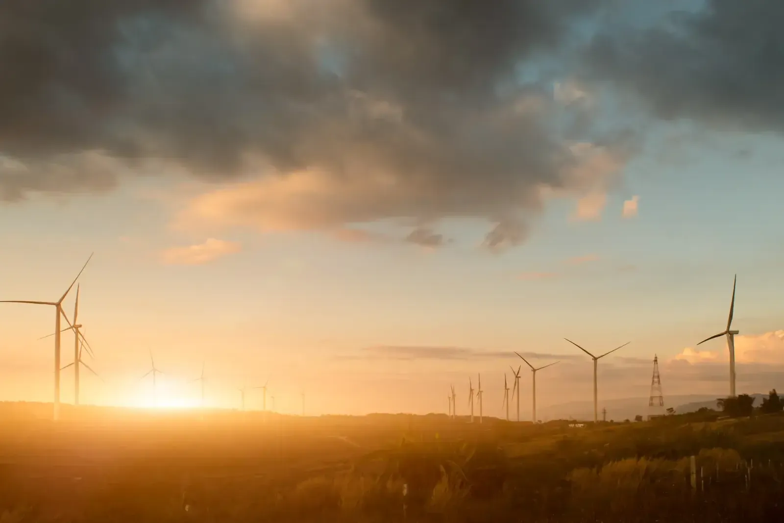 Rangée d’éoliennes en silhouette sur une colline, le soleil rasant embrasant les champs sous un ciel chargé de nuages sombres