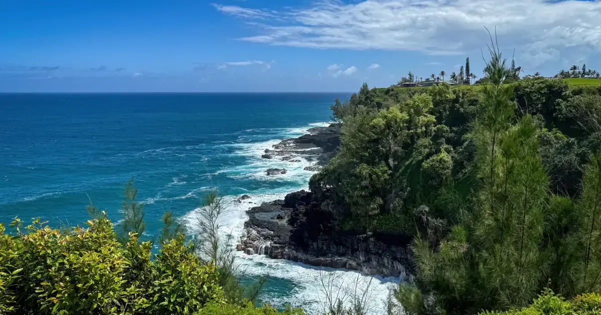 Falaises couvertes de végétation dense plongeant dans une mer turquoise, lumière voilée du matin