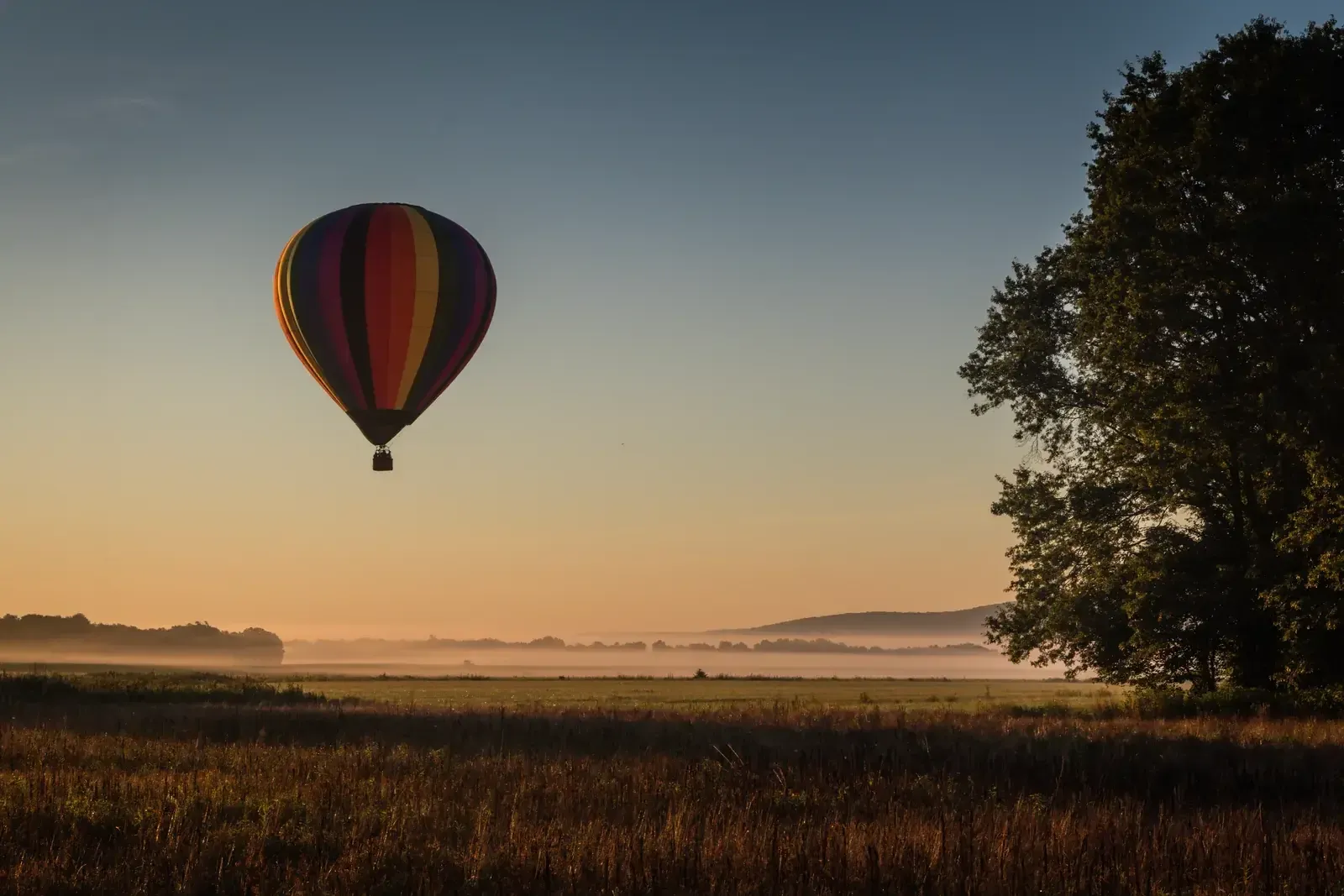 Montgolfière qui s’élève au-dessus d’un champ brumeux au lever du jour, grand arbre isolé sur la droite