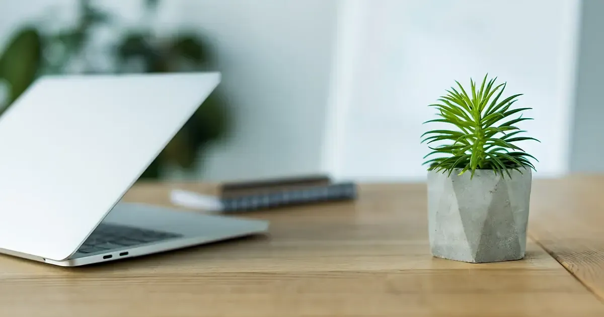 Ordinateur portable ouvert sur une table en bois clair, plante verte à côté, lumière naturelle douce