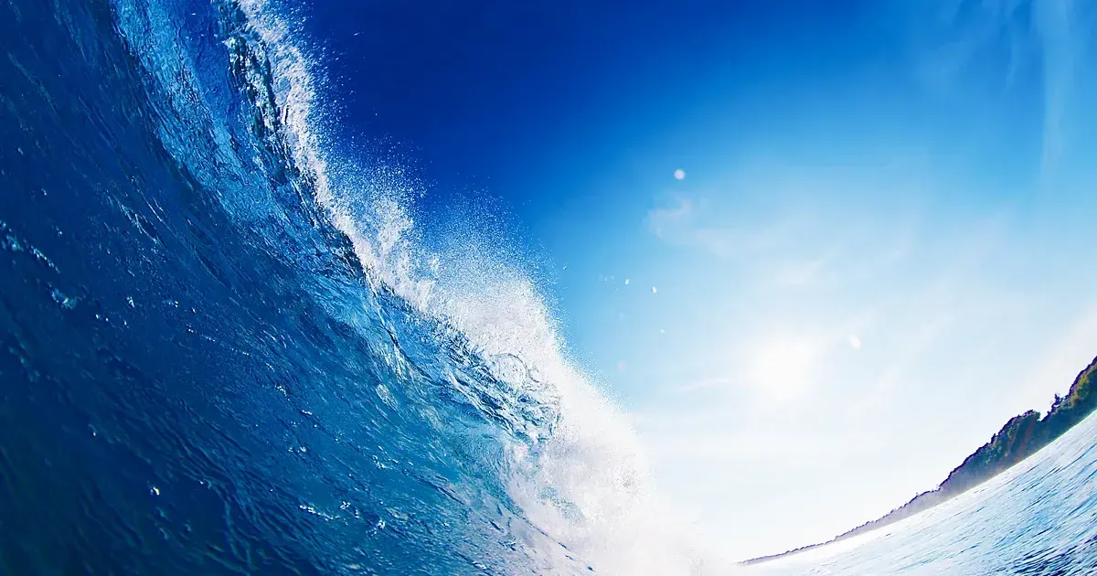 Vague turquoise qui se creuse, crête translucide éclairée à contre-jour et voile d'écume blanche