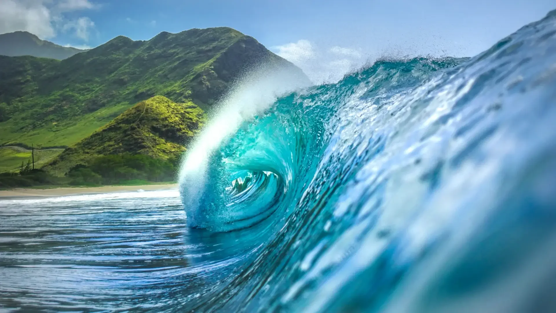 Turquoise wave unrolling in front of a green coastline